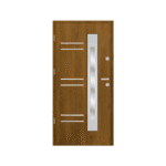 Steel Front door wooden with glass panels and a white background.